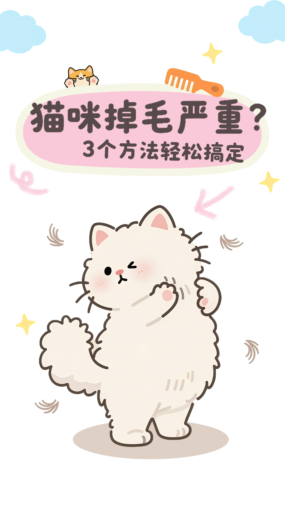 猫咪掉毛护理封面
