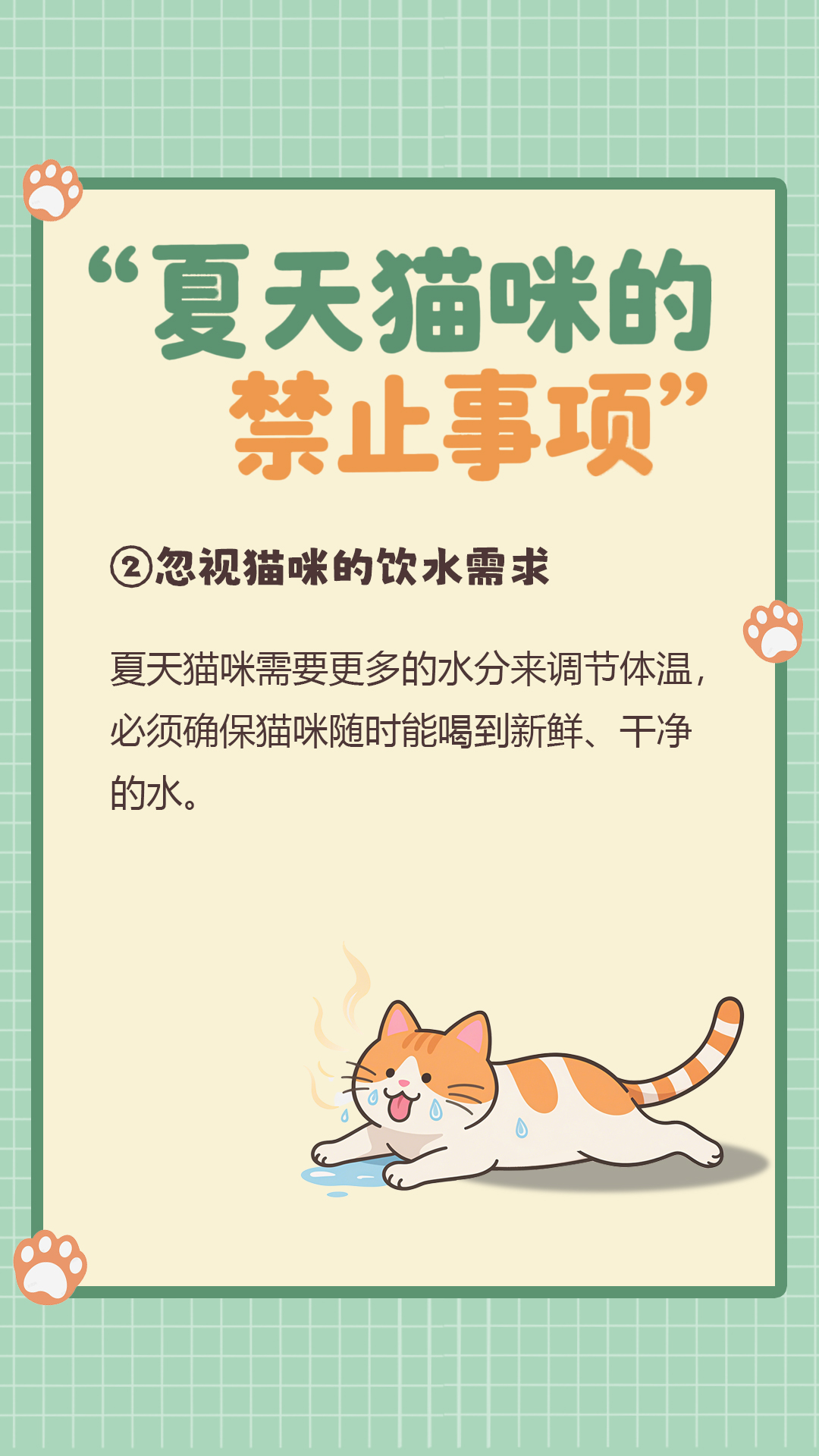忽视猫咪饮水需求正文页
